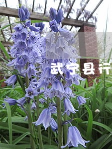 武宁县行政复议律师咨询电话 武宁县行政复议律师咨询电话