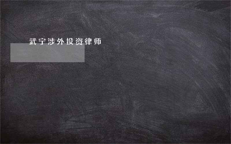 武宁涉外投资律师 武宁涉外投资律师
