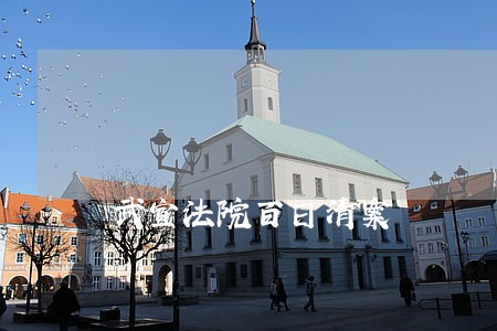 武宣法院百日清案