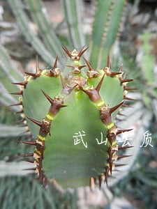 武山县质押合同纠纷律师 武山县质押合同纠纷律师