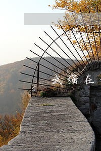 武强在线法律援助平台