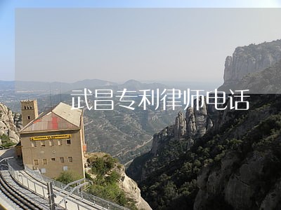 武昌专利律师电话 武昌专利律师电话