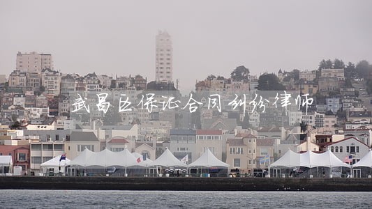 武昌区保证合同纠纷律师 武昌区保证合同纠纷律师