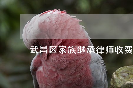 武昌区家族继承律师收费 武昌区家族继承律师收费