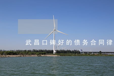 武昌口碑好的债务合同律师 武昌口碑好的债务合同律师