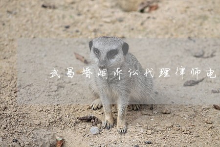 武昌婚姻诉讼代理律师电话 武昌婚姻诉讼代理律师电话