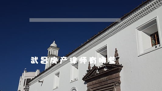 武昌房产律师有哪些