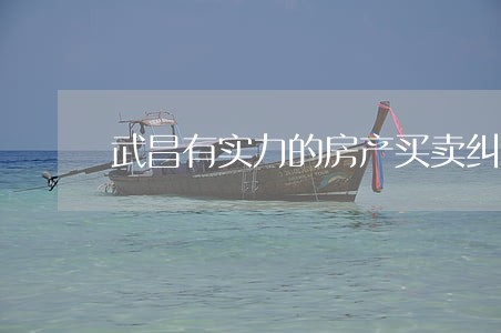 武昌有实力的房产买卖纠纷律师 武昌有实力的房产买卖纠纷律师