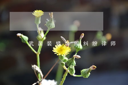 武昌装修合同纠纷律师 武昌装修合同纠纷律师
