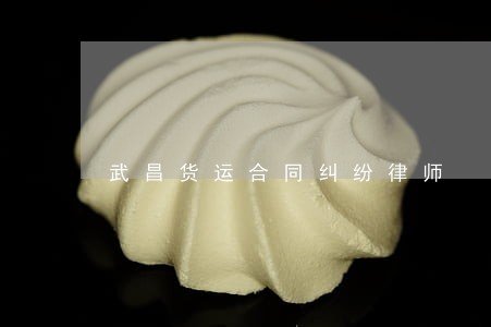 武昌货运合同纠纷律师 武昌货运合同纠纷律师
