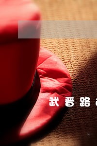 武晋路违法停车 武晋路违法停车