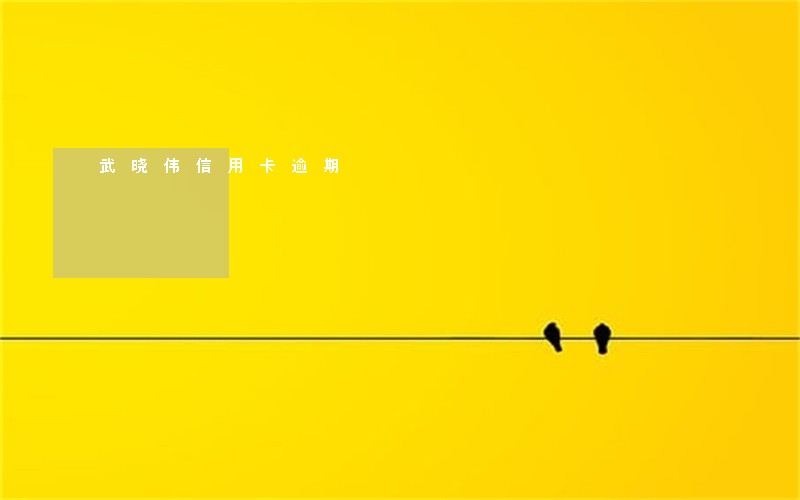 武晓伟信用卡逾期 武晓伟信用卡逾期