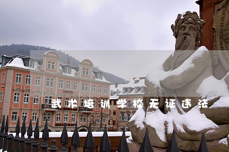 武术培训学校无证违法 武术培训学校无证违法