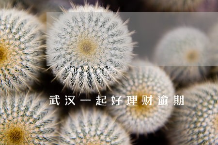 武汉一起好理财逾期