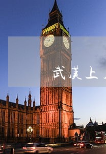 武汉上月闯二桥违法最多