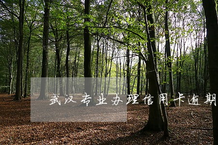 武汉专业办理信用卡逾期分期 武汉专业办理信用卡逾期分期