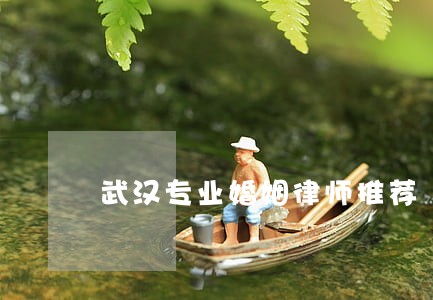 武汉专业婚姻律师推荐 武汉专业婚姻律师推荐