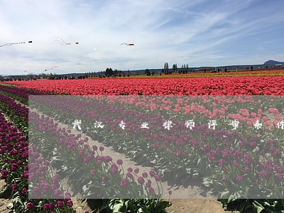 武汉专业律师评审条件 武汉专业律师评审条件