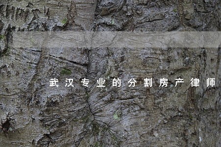 武汉专业的分割房产律师 武汉专业的分割房产律师