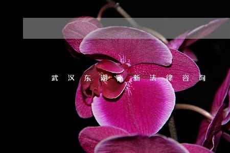 武汉东湖高新法律咨询 武汉东湖高新法律咨询