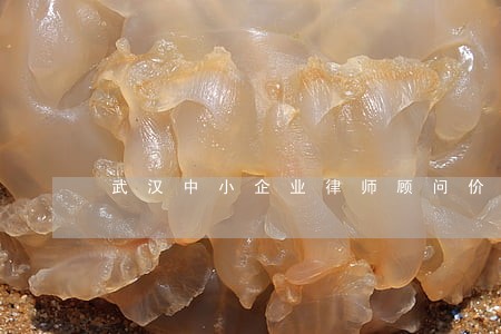 武汉中小企业律师顾问价格