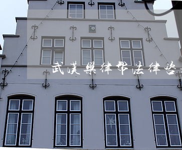 武汉乐律帮法律咨询有限公司 武汉乐律帮法律咨询有限公司