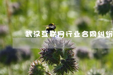 武汉互联网行业合同纠纷律师 武汉互联网行业合同纠纷律师