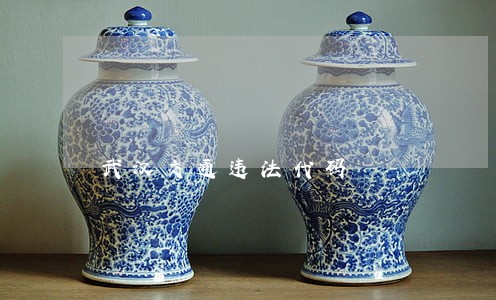武汉交通违法代码