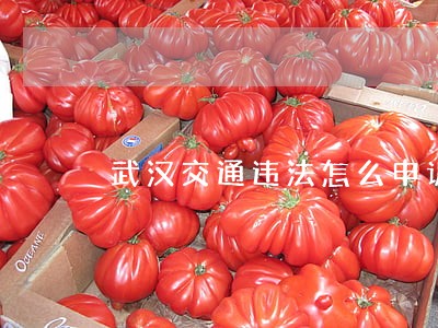 武汉交通违法怎么申诉 武汉交通违法怎么申诉