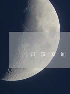 武汉交通违法核查 武汉交通违法核查