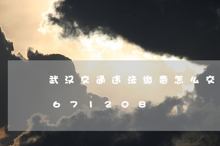 武汉交通违法缴费怎么交/2023020671208 武汉交通违法缴费怎么交/2023020671208