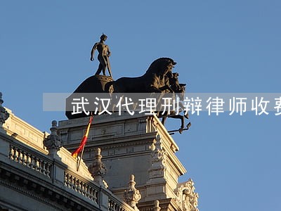 武汉代理刑辩律师收费 武汉代理刑辩律师收费