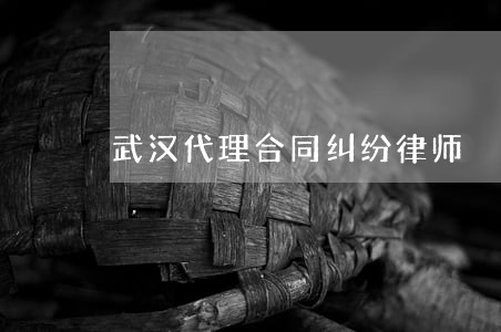 武汉代理合同纠纷律师 武汉代理合同纠纷律师