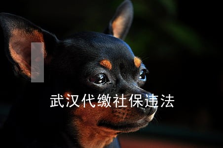 武汉代缴社保违法