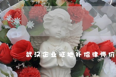 武汉企业征地补偿律师价格 武汉企业征地补偿律师价格