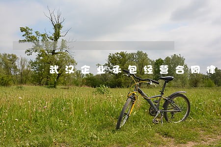 武汉企业承包经营合同律师推荐 武汉企业承包经营合同律师推荐