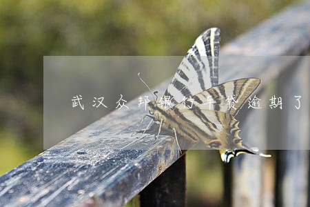 武汉众邦银行车贷逾期了会上门吗 武汉众邦银行车贷逾期了会上门吗