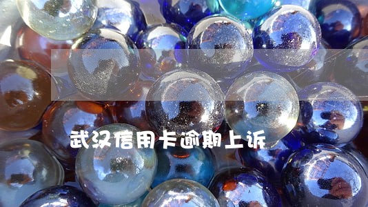 武汉信用卡逾期上诉 武汉信用卡逾期上诉