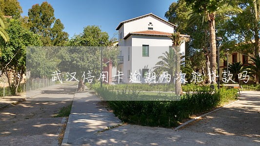 武汉信用卡逾期两次能贷款吗 武汉信用卡逾期两次能贷款吗