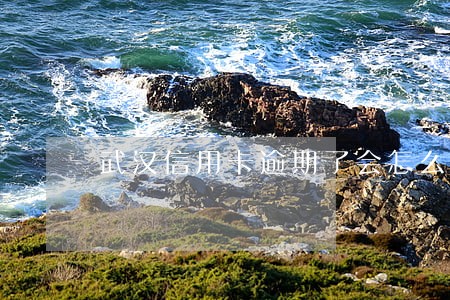 武汉信用卡逾期了会怎么样 武汉信用卡逾期了会怎么样