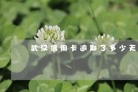 武汉信用卡逾期了多少天 武汉信用卡逾期了多少天