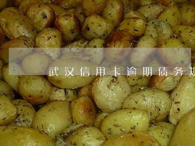 武汉信用卡逾期债务规划流程详解 武汉信用卡逾期债务规划流程详解