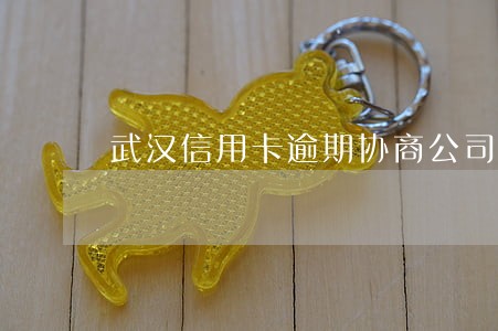 武汉信用卡逾期协商公司 武汉信用卡逾期协商公司