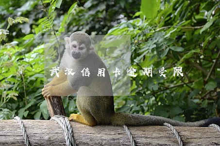 武汉信用卡逾期受限 武汉信用卡逾期受限