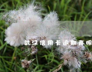 武汉信用卡逾期声明 武汉信用卡逾期声明