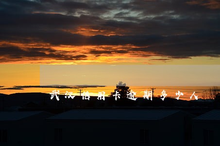 武汉信用卡逾期多少人