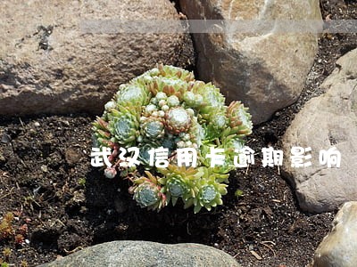 武汉信用卡逾期影响 武汉信用卡逾期影响