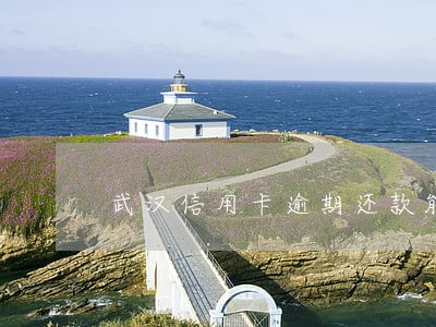 武汉信用卡逾期还款能修复吗 武汉信用卡逾期还款能修复吗