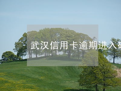 武汉信用卡逾期进入硚口区
