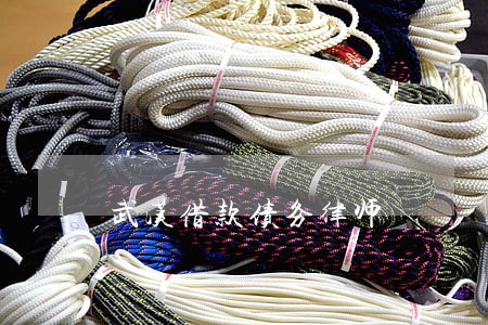 武汉借款债务律师